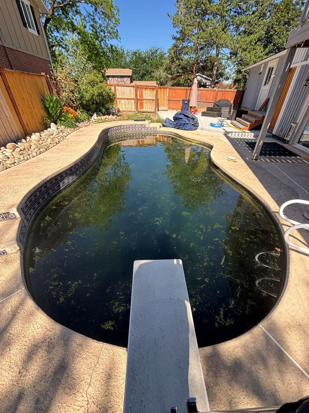 Green pool with dark murky water before recovery service