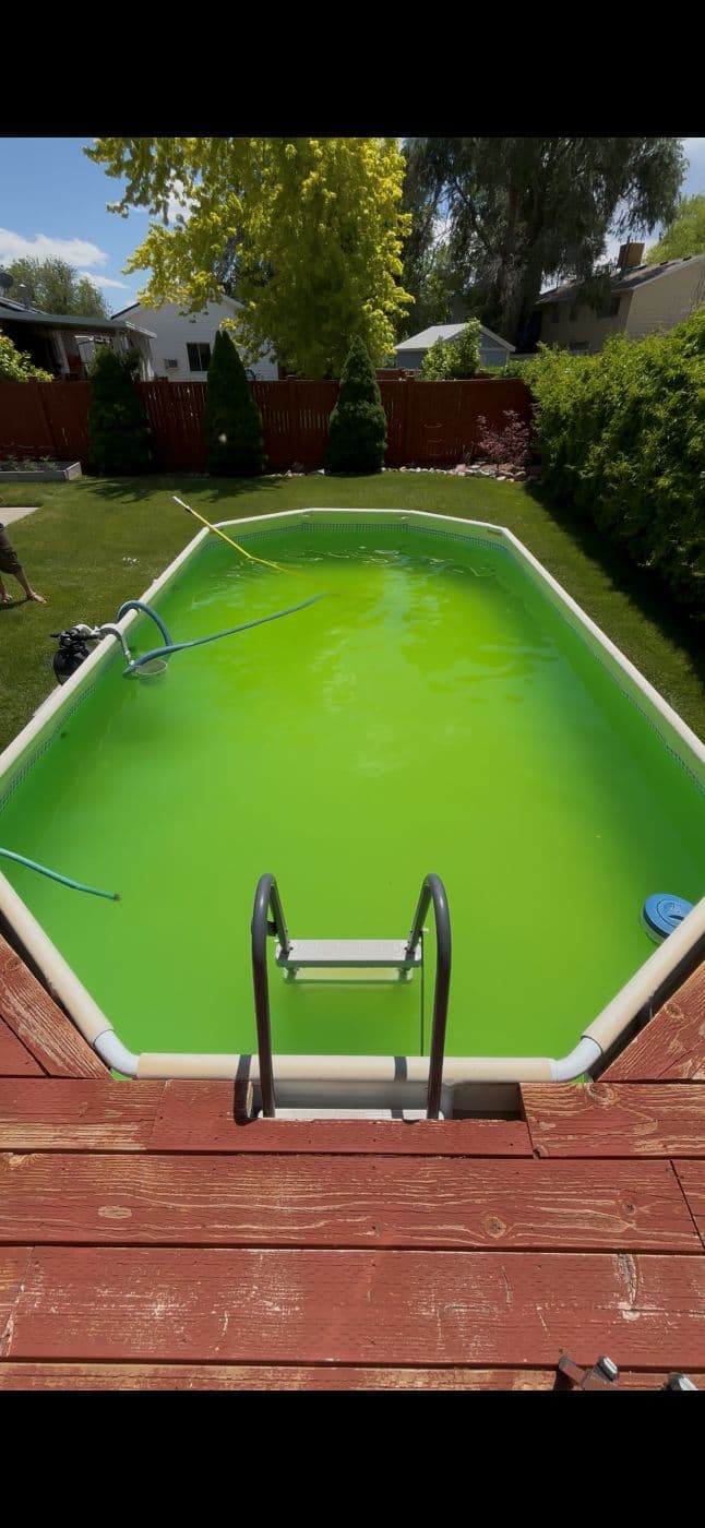 Bright green above ground pool before cleaning