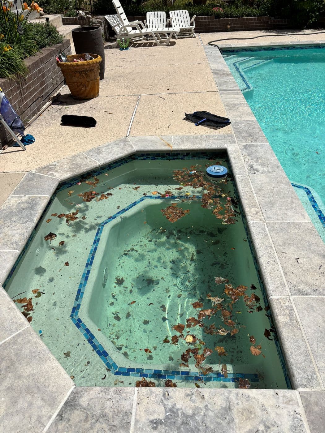 Surviving Cottonwood Season: Pool Tips for Utah