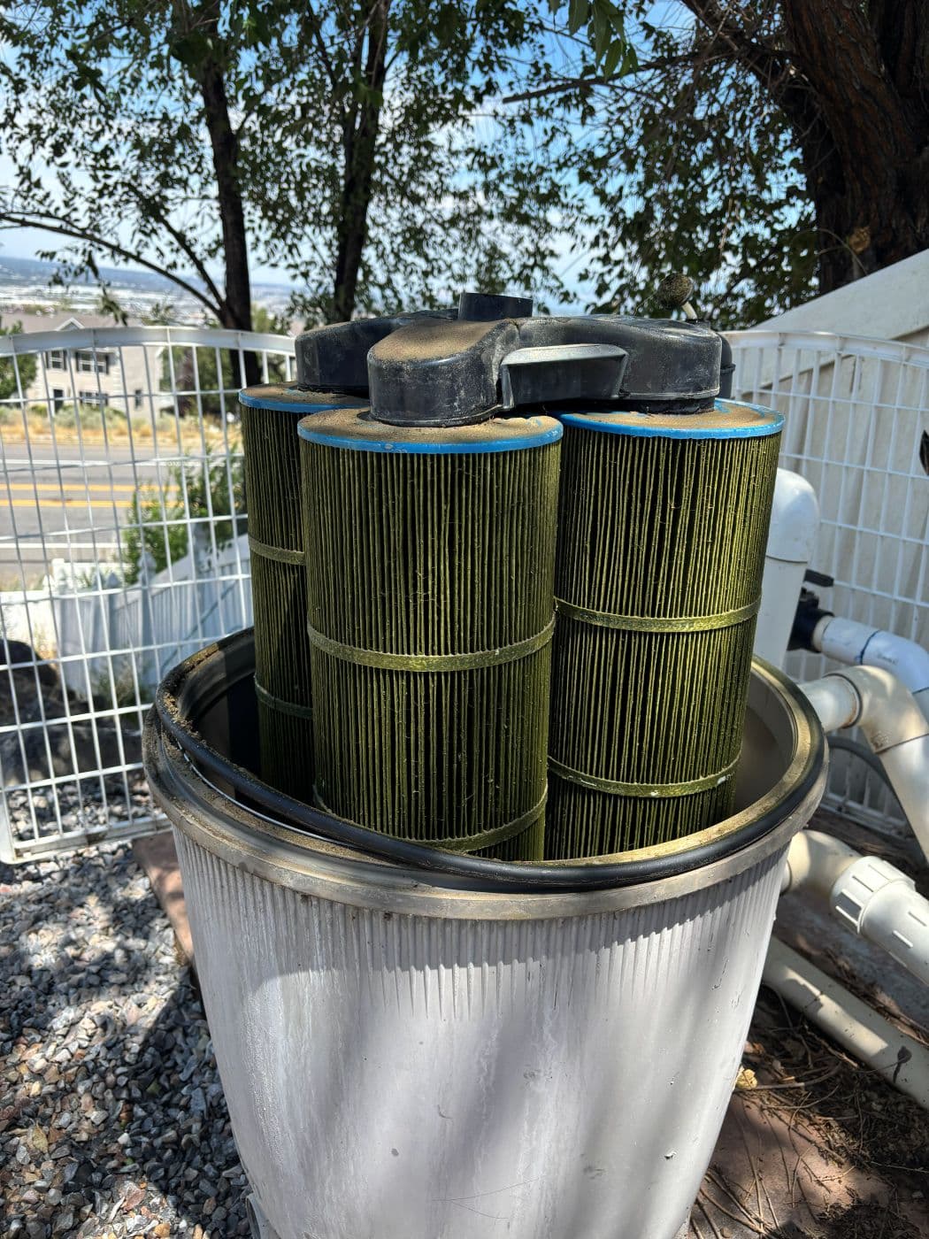 Filter cartridges caked with green algae before cleaning