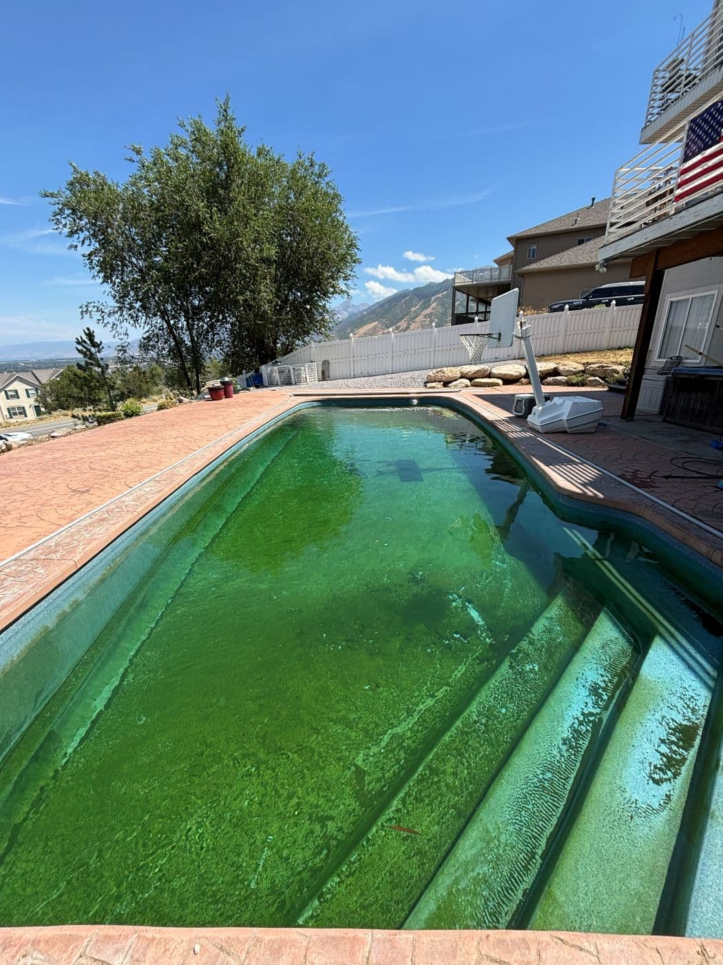 Signs Your Pool Needs Professional Service