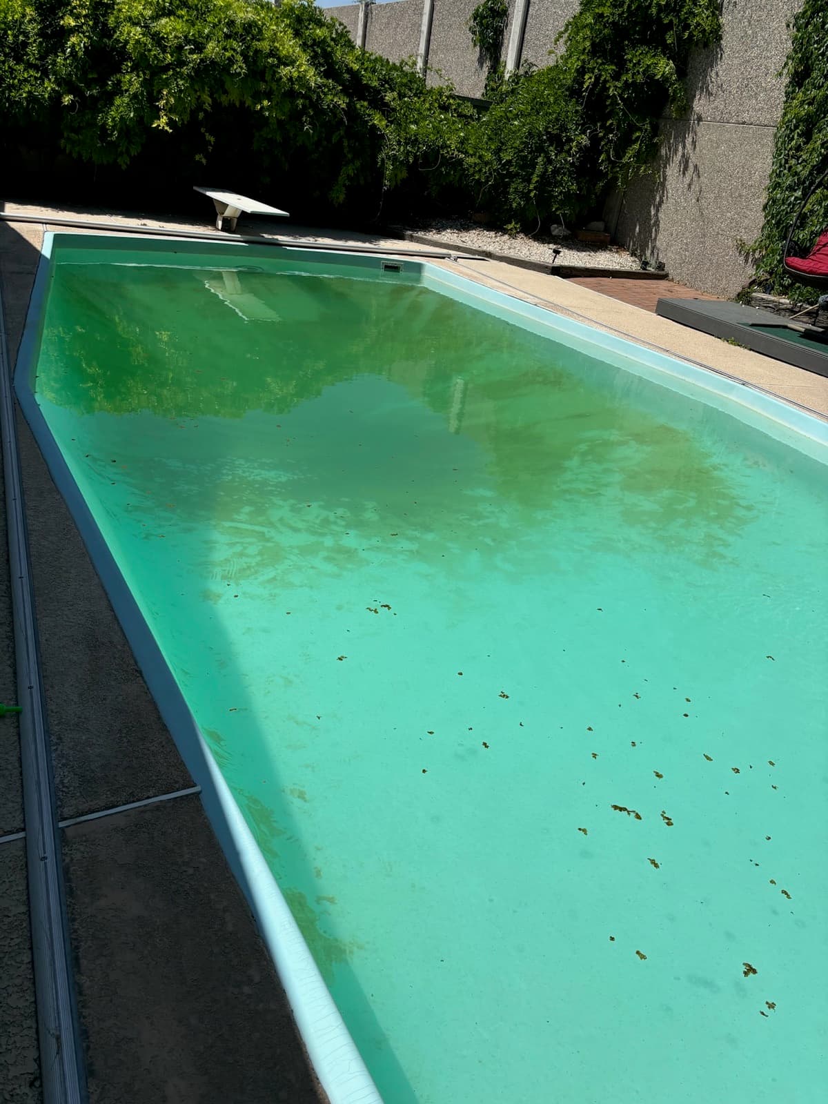 Green Pool Recovery